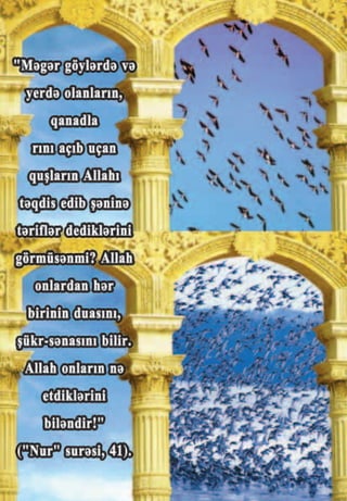 Həzrəti süleyman. azərbaycan