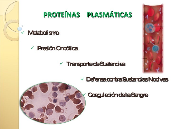 Desnaturalización de las, proteínas, y proteínas plasmáticas