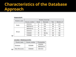 Characteristics of the Database
Approach
 