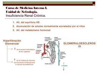 Curso de Medicina Interna I.
Unidad de Nefrologia.
Insuficiencia Renal Crónica.
1. Alt. del equilibrio HE
2. Acumulación de solutos normalmente excretados por el riñon
3. Alt. del metabolismo hormonal

Hiperfiltración
Glomerular
↑

↑

de la presión hidrostática
de los capilares

de la síntesis de citocinas
que favorecen la fibrogénesis
e inducen la proliferación

GLOMERULOESCLEROS
IS

 