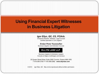 Using Financial Expert Witnesses
in Business Litigation
Igor Ellyn, QC, CS, FCIArb.
Chartered Arbitrator, Mediator, Legal Counsel
Certified Specialist in Civil Litigation

Evelyn Perez Youssoufian
Business Litigation and Arbitration Counsel

Business Litigation & Arbitration Lawyers
Avocats en litiges et arbitrages commerciaux

20 Queen Street West, Suite 3000 Toronto, Ontario M5H 3R3
T 416-365-3700 F 416-368-2982 www.ellynlaw.com

© 2013

Igor Ellyn, QC May not be reproduced without written permission.

 