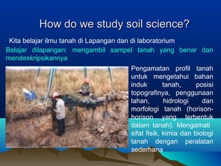 HHooww ddoo wwee ssttuuddyy ssooiill sscciieennccee?? 
Kita belajar ilmu tanah di Lapangan dan di laboratorium 
Belajar dilapangan: mengambil sampel tanah yang benar dan 
mendeskripsikannya 
Pengamatan profil tanah 
untuk mengetahui bahan 
induk tanah, posisi 
topografinya, penggunaan 
lahan, hidrologi dan 
morfologi tanah (horison-horison 
yang terbentuk 
dalam tanah). Mengamati 
sifat fisik, kimia dan biologi 
tanah dengan peralatan 
sederhana 
 
