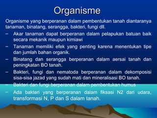 OOrrggaanniissmmee 
Organisme yang berperanan dalam pembentukan tanah diantaranya 
tanaman, binatang, serangga, bakteri, fungi dll. 
– Akar tanaman dapat berperanan dalam pelapukan batuan baik 
secara mekanik maupun kimiawi 
– Tanaman memiliki efek yang penting karena menentukan tipe 
dan jumlah bahan organik. 
– Binatang dan serangga berperanan dalam aersai tanah dan 
peningkatan BO tanah. 
– Bakteri, fungi dan nematoda berperanan dalam dekomposisi 
sisa-sisa jazad yang sudah mati dan mineralisasi BO tanah. 
– Bakteri dan fungi berperanan dalam pembentukan humus 
– Ada bakteri yang berperanan dalam fiksasi N2 dari udara, 
transformasi N, P dan S dalam tanah. 
 