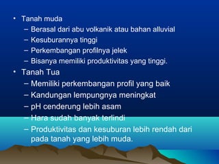 • Tanah muda 
– Berasal dari abu volkanik atau bahan alluvial 
– Kesuburannya tinggi 
– Perkembangan profilnya jelek 
– Bisanya memiliki produktivitas yang tinggi. 
• Tanah Tua 
– Memiliki perkembangan profil yang baik 
– Kandungan lempungnya meningkat 
– pH cenderung lebih asam 
– Hara sudah banyak terlindi 
– Produktivitas dan kesuburan lebih rendah dari 
pada tanah yang lebih muda. 
 