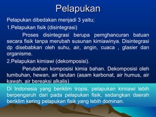 PPeellaappuukkaann 
Pelapukan dibedakan menjadi 3 yaitu; 
1.Pelapukan fisik (disintegrasi) 
Proses disintegrasi berupa pemghancuran batuan 
secara fisik tanpa merubah susunan kimiawinya. Disintegrasi 
dp disebabkan oleh suhu, air, angin, cuaca , glasier dan 
organisme. 
2.Pelapukan kimiawi (dekomposisi). 
Perubahan komposisi kimia bahan. Dekomposisi oleh 
tumbuhan, hewan, air larutan (asam karbonat, air humus, air 
kawah, air bereaksi alkalis) 
Di Indonesia yang beriklim tropis, pelapukan kimiawi lebih 
berpengaruh dari pada pelapukan fisik, sedangkan daerah 
beriklim kering pelapukan fisik yang lebih dominan. 
 