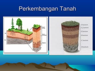 PPeerrkkeemmbbaannggaann TTaannaahh 
 