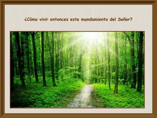 ¿Cómo vivir entonces este mandamiento del Señor?
 
