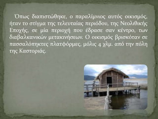 Όπως διαπιστώθηκε, ο παραλίμνιος αυτός οικισμός,
ήταν το στίγμα της τελευταίας περιόδου, της Νεολιθικής
Εποχής, σε μία περιοχή που έδρασε σαν κέντρο, των
διαβαλκανικών μετακινήσεων. Ο οικισμός βρισκόταν σε
πασσαλόπηκτες πλατφόρμες, μόλις 4 χλμ. από την πόλη
της Καστοριάς.
 