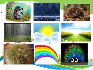 FokinaLida.75@mail.ru
•
 