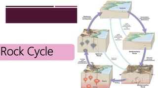 Rock Cycle
 