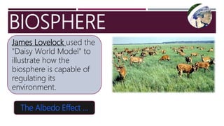 BIOSPHERE
James Lovelock used the
"Daisy World Model" to
illustrate how the
biosphere is capable of
regulating its
environment.
The Albedo Effect …
 