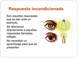 Respuesta incondicionada
Son aquellas respuestas
que se dan ante un
estímulo.
Se relacionan
directamente a aquellas
respuestas llamadas
reflejas.
No necesitan un
aprendizaje para que se
presenten
 