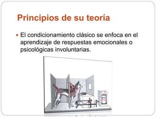 Principios de su teoría
 El condicionamiento clásico se enfoca en el
aprendizaje de respuestas emocionales o
psicológicas involuntarias.
 