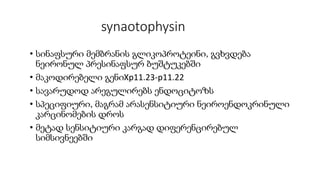 synaotophysin
• სინაფსური მემბრანის გლიკოპროტეინი, გვხვდება
ნეირონულ პრესინაფსურ ბუშტუკებში
• მაკოდირებელი გენიXp11.23-p11.22
• სავარუდოდ არეგულირებს ენდოციტოზს
• სპეციფიური, მაგრამ არასენსიტიური ნეიროენდოკრინული
კარცინომების დროს
• მეტად სენსიტიური კარგად დიფერენცირებულ
სიმსივნეებში
 