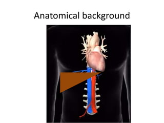 Anatomical background
 
