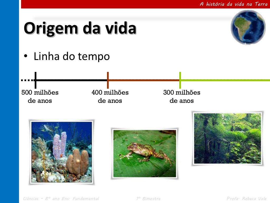 I.1 A história da vida na terra