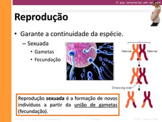 O que caracteriza um ser vivo




Reprodução
• Garante a continuidade da espécie.
     – Sexuada
           • Gametas
           • Fecundação




  Reprodução sexuada é a formação de novos
  indivíduos a partir da união de gametas
  (fecundação).
Ciências – 9º ano Ens. Fundamental   1º Período              Profa. Rebeca Vale
 