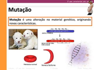 O que caracteriza um ser vivo




Mutação
 Mutação é uma alteração no material genético, originando
 novas características.




Ciências – 9º ano Ens. Fundamental   1º Período              Profa. Rebeca Vale
 