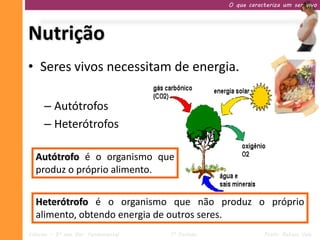 O que caracteriza um ser vivo




Nutrição
• Seres vivos necessitam de energia.

     – Autótrofos
     – Heterótrofos

  Autótrofo é o organismo que
  produz o próprio alimento.


  Heterótrofo é o organismo que não produz o próprio
  alimento, obtendo energia de outros seres.
Ciências – 9º ano Ens. Fundamental   1º Período              Profa. Rebeca Vale
 