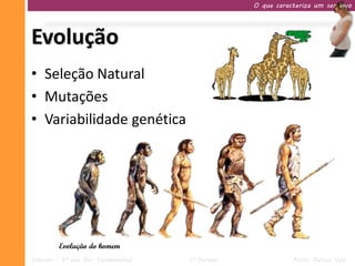 O que caracteriza um ser vivo




Evolução
• Seleção Natural
• Mutações
• Variabilidade genética




         Evolução do homem
Ciências – 9º ano Ens. Fundamental   1º Período              Profa. Rebeca Vale
 