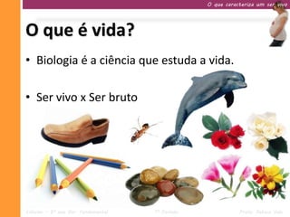 O que caracteriza um ser vivo




O que é vida?
• Biologia é a ciência que estuda a vida.

• Ser vivo x Ser bruto




Ciências – 9º ano Ens. Fundamental   1º Período              Profa. Rebeca Vale
 