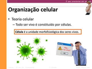 O que caracteriza um ser vivo




Organização celular
• Teoria celular
     – Todo ser vivo é constituído por células.
         Célula é a unidade morfofisiológica dos seres vivos.




Ciências – 9º ano Ens. Fundamental   1º Período              Profa. Rebeca Vale
 