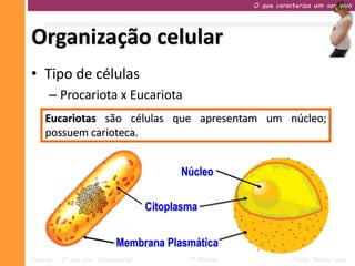 O que caracteriza um ser vivo




Organização celular
• Tipo de células
     – Procariota x Eucariota
    Eucariotas são células cujo material
    Procariotas são células que apresentamgenético está
                                            um núcleo;
    possuem sem núcleo.
    disperso; carioteca.


                                           Núcleo

                                     Citoplasma


                            Membrana Plasmática
Ciências – 9º ano Ens. Fundamental           1º Período              Profa. Rebeca Vale
 
