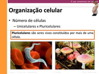 O que caracteriza um ser vivo




Organização celular
• Número de células
     – Unicelulares x Pluricelulares
   Pluricelulares são
   Unicelulares são seres vivos constituídos por mais deúnica
                          vivos constituídos por uma uma
   célula.




Ciências – 9º ano Ens. Fundamental   1º Período              Profa. Rebeca Vale
 
