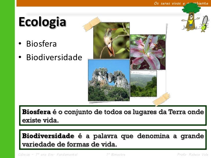 Conjunto De Condições Naturais Que Atuam Sobre Os Seres Vivos