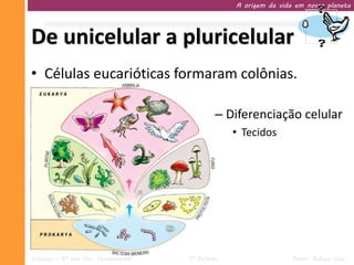A origem da vida em nosso planeta




De unicelular a pluricelular
• Células eucarióticas formaram colônias.

                                              – Diferenciação celular
                                                  • Tecidos




Ciências – 9º ano Ens. Fundamental   1º Período                   Profa. Rebeca Vale
 