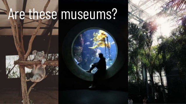 Are these museums?
 