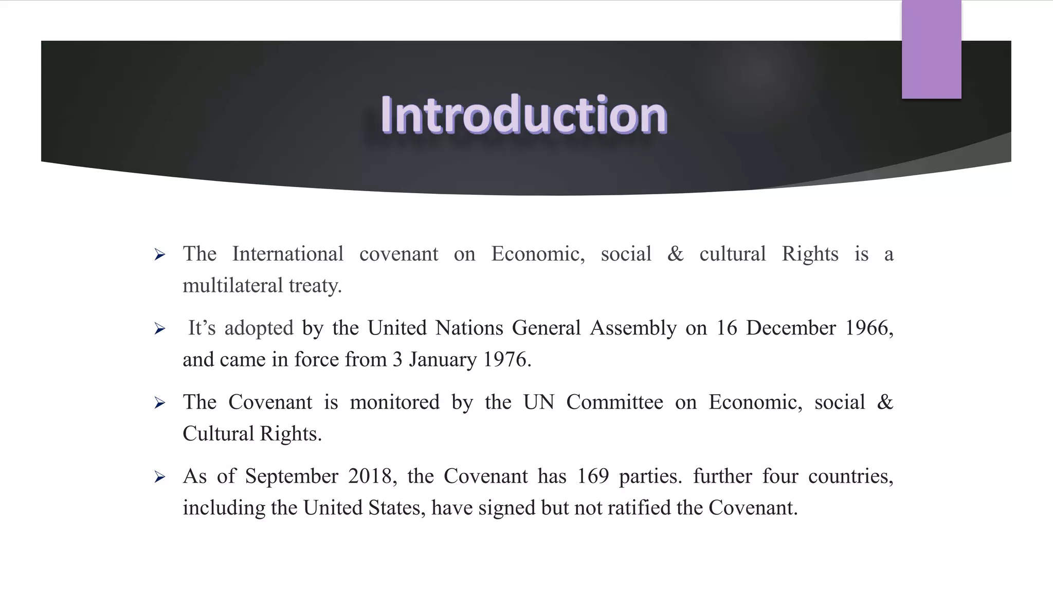 International Covenant on Economics, Social & Cultural Rights (ICESCR