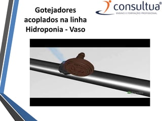 Gotejadores
acoplados na linha
Hidroponia - Vaso
 