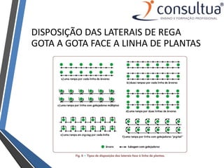 DISPOSIÇÃO DAS LATERAIS DE REGA
GOTA A GOTA FACE A LINHA DE PLANTAS
 