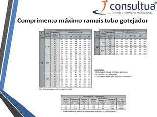 Comprimento máximo ramais tubo gotejador
 