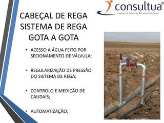 CABEÇAL DE REGA
SISTEMA DE REGA
GOTA A GOTA
• ACESSO A ÁGUA FEITO POR
SECIONAMENTO DE VÁLVULA;
• REGULARIZAÇÃO DE PRESSÃO
DO SISTEMA DE REGA;
• CONTROLO E MEDIÇÃO DE
CAUDAIS;
• AUTOMATIZAÇÃO;
 