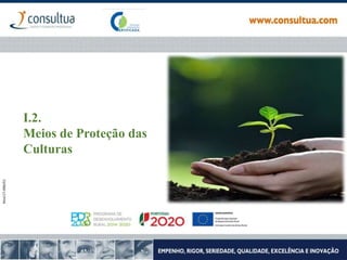 I.2 Meios de Proteção das culturas
Fonte: noticias-cap
Formador: Eng.º Rafael Corrêa, 2021
I.2.
Meios de Proteção das
Culturas
 