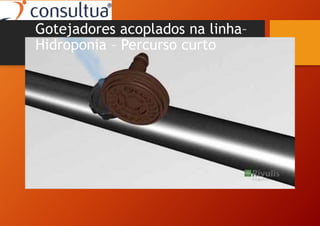 Gotejadores acoplados na linha–
Hidroponia – Percurso curto
 
