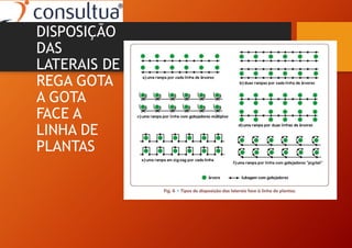 DISPOSIÇÃO
DAS
LATERAIS DE
REGA GOTA
A GOTA
FACE A
LINHA DE
PLANTAS
 