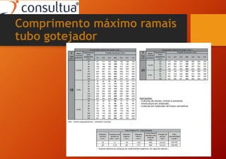 Comprimento máximo ramais
tubo gotejador
 
