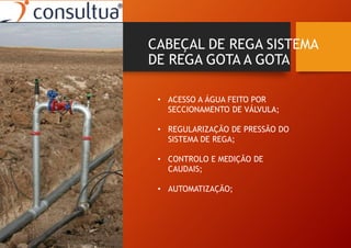 CABEÇAL DE REGA SISTEMA
DE REGA GOTA A GOTA
• ACESSO A ÁGUA FEITO POR
SECCIONAMENTO DE VÁLVULA;
• REGULARIZAÇÃO DE PRESSÃO DO
SISTEMA DE REGA;
• CONTROLO E MEDIÇÃO DE
CAUDAIS;
• AUTOMATIZAÇÃO;
 