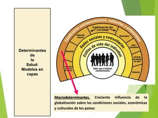 Determinantes
de
la
Salud:
Modelos en
capas
Macrodeterminantes. Creciente influencia de la
globalización sobre las condiciones sociales, económicas
y culturales de los países
 
