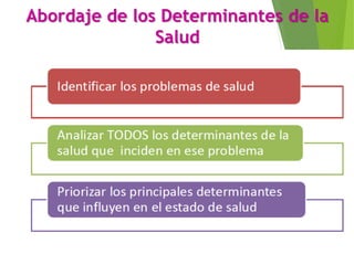 Abordaje de los Determinantes de la
Salud
 