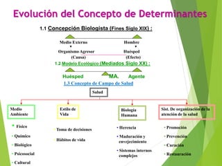 Evolución del Concepto de Determinantes
1.1 Concepción Biologista (Fines Siglo XIX) :
Medio Externo Hombre
Organismo Agresor Huésped
(Causa) (Efecto)
1.2 Modelo Ecológico (Mediados Siglo XX) :
Huésped MA. Agente
1.3 Concepto de Campo de Salud
Salud
Medio
Ambiente
Estilo de
Vida
Biología
Humana
Sist. De organización de la
atención de la salud
• Toma de decisiones
• Hábitos de vida
• Físico
• Químico
• Biológico
• Psicosocial
• Cultural
• Promoción
• Prevención
• Curación
• Restauración
• Herencia
• Maduración y
envejecimiento
• Sistemas internos
complejos
 