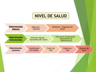 Determinantes
básicos
Población -
Genoma
Ambiente - Organización
social
Determinantes
estructurales
Nivel de riqueza -
Estratificación social
Estructura ocupacional -
Mecanismos de
redistribución
Determinantes
próximos
Condiciones
de trabajo
Cond. de
vida
Estilos de
vida
Sistema de
salud
NIVEL DE SALUD
 