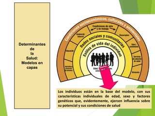 Determinantes
de
la
Salud:
Modelos en
capas
Los individuos están en la base del modelo, con sus
características individuales de edad, sexo y factores
genéticos que, evidentemente, ejercen influencia sobre
su potencial y sus condiciones de salud
 