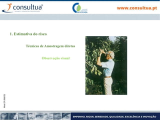 Mod.CF.066/01
1. Estimativa do risco
Técnicas de Amostragem diretas
Observação visual
 