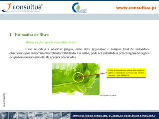 Mod.CF.066/01
1 - Estimativa de Risco
Observação visual - medida direta
Caso se esteja a observar pragas, então deve registar-se o número total de indivíduos
observados por ramo/raminho/rebento/folha/fruto. Ou então, pode ser calculada a percentagem de órgãos
ocupados/atacados no total de árvores observadas.
Folha de castanheiros afetada pela vespa da
galha do castanheiro e presença de torymus
sinensis – Luta biológica)
Fonte: Mensageiro de bragança
 