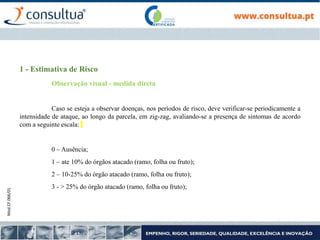 Mod.CF.066/01
1 - Estimativa de Risco
Observação visual - medida direta
Caso se esteja a observar doenças, nos períodos de risco, deve verificar-se periodicamente a
intensidade de ataque, ao longo da parcela, em zig-zag, avaliando-se a presença de sintomas de acordo
com a seguinte escala:
0 – Ausência;
1 – ate 10% do órgãos atacado (ramo, folha ou fruto);
2 – 10-25% do órgão atacado (ramo, folha ou fruto);
3 - > 25% do órgão atacado (ramo, folha ou fruto);
 