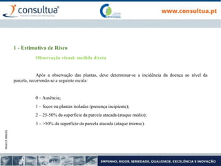 Mod.CF.066/01
1 - Estimativa de Risco
Observação visual- medida direta
Após a observação das plantas, deve determinar-se a incidência da doença ao nível da
parcela, recorrendo-se a seguinte escala:
0 – Ausência;
1 – focos ou plantas isoladas (presença incipiente);
2 – 25-50% da superfície da parcela atacada (ataque médio);
3 – >50% da superfície da parcela atacada (ataque intenso).
 